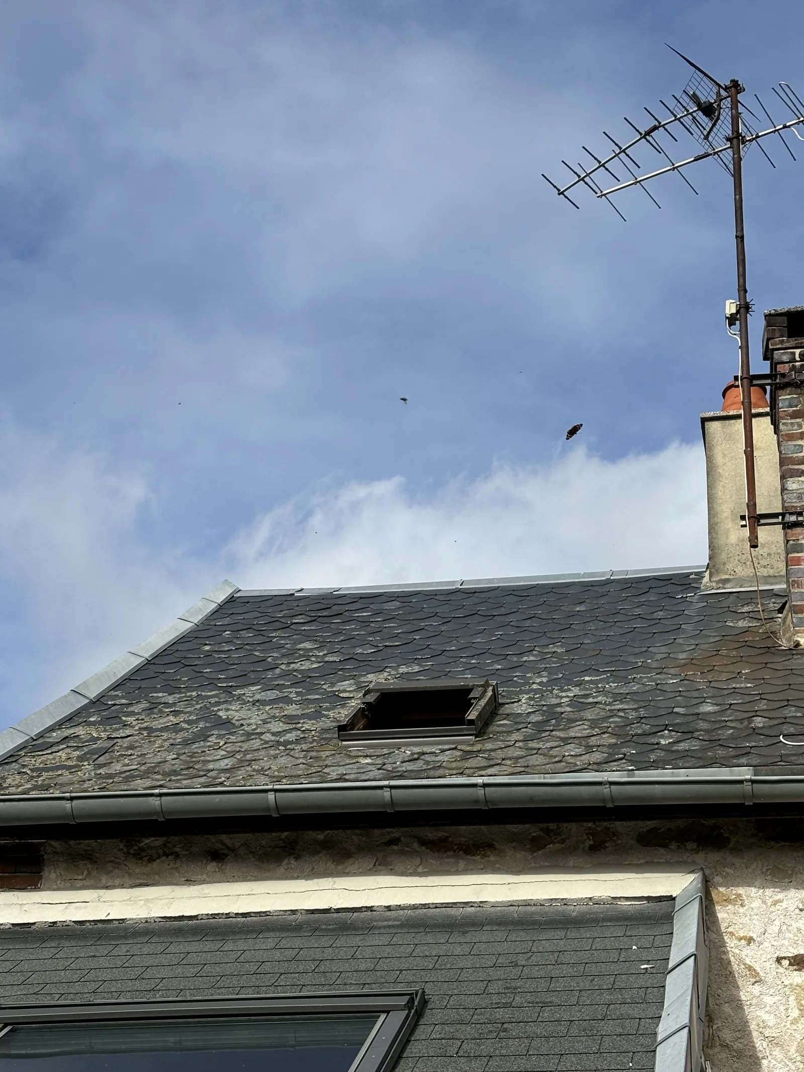 Velux — chantier VionCouverture